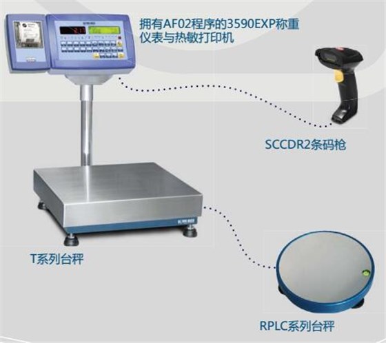 狄纳乔WECN电子台秤仓库管理应用