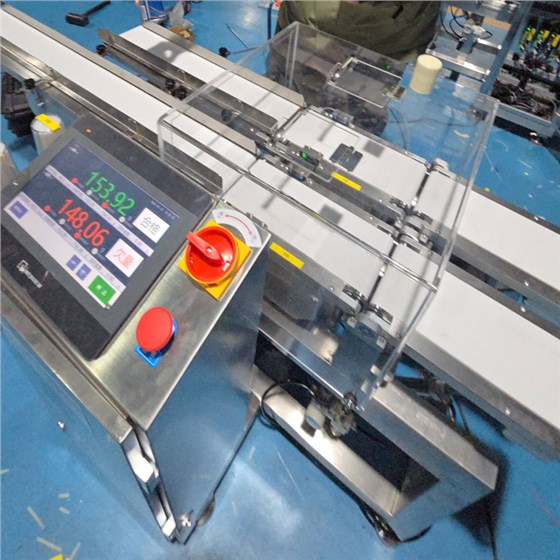 双通道在线检重秤