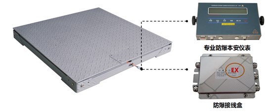 防爆电子地磅